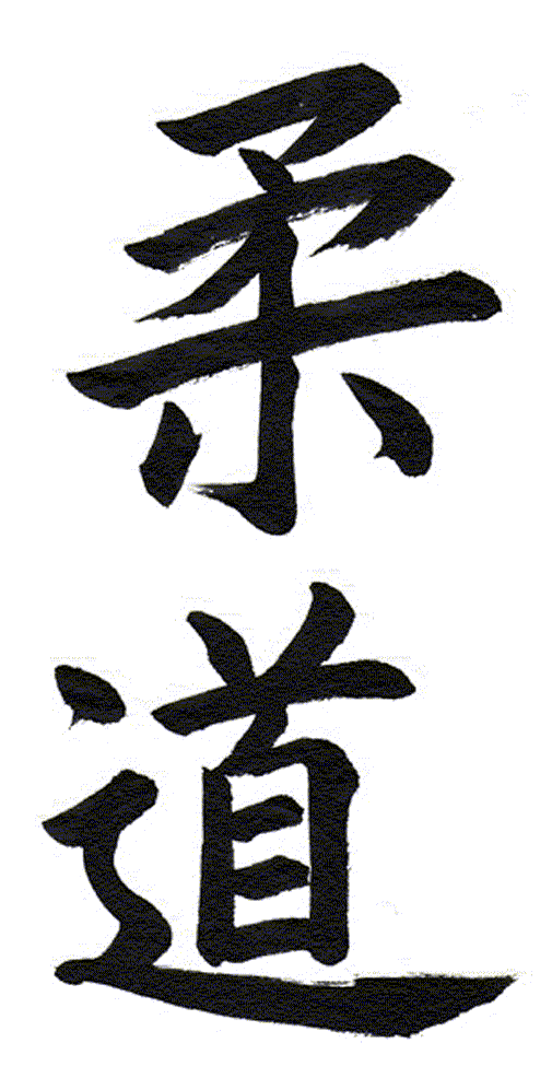 judo logo